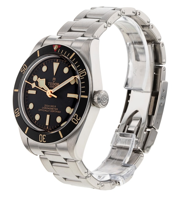 Tudor Black Bay 58 M79030N-0001 Image 2